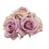 Pink roses2 - Uncategorized - 