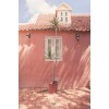 Pink wall Curacao - Buildings - 