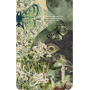 Plant Collage - Illustraciones - 