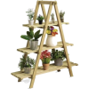 Plant Ladder - 植物 - 