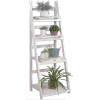 Plant Ladder - 植物 - 