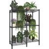 Plant Shelf - Rośliny - 