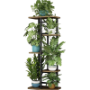 Plant Shelf - Pflanzen - 