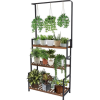 Plant Shelf - Plants - 