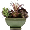 Plant - Items - 