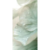 Plant - Rastline - 