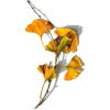 Plant - 植物 - 