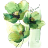 Plant - 植物 - 