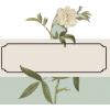 Plantframe - Okvirji - 