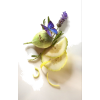 Plantfruit - Biljke - 