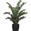 Plants - 植物 - 