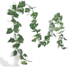 Plants - Растения - 
