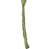 Plant stem - Piante - 