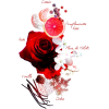 Planttext - Biljke - 