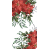 Poinsettia - Background - 