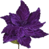 Poinsettia - Items - 