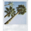 Polaroid - 自然 - 