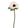 Poppy - Растения - 