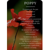 Poppy - Textos - 