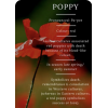 Poppy - Tekstovi - 