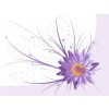 Purple Casual Background - Background - 