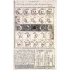Prediction for sun eclipse 22 apr 1715 - Ilustracije - 
