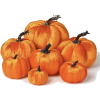 Pumpkin Decor - Articoli - 