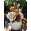 Pumpkin Flowers - Plants - 