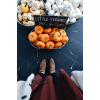 Pumpkin Picking - Uncategorized - 