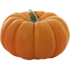 Pumpkin - cibo - 