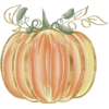 Pumpkin - イラスト - 