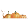 Pumpkin - Illustraciones - 