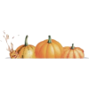 Pumpkin - 插图 - 