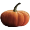 Pumpkin - Ilustracije - 