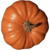 Pumpkin - Przedmioty - 