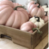 Pumpkin - Objectos - 