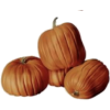 Pumpkins - Rascunhos - 