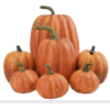 Pumpkins - Artikel - 
