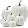 Pumpkins - Items - 