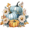 Pumpkins - Articoli - 