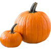 Pumpkins - Priroda - 