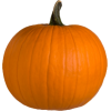 Pumpkins - Natura - 