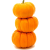 Pumpkins - Narava - 