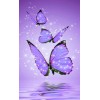 Purple Butterflies Background - Fundos - 