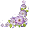 Purple Flower Corner - Uncategorized - 