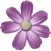 Purple Flower - Plantas - 