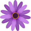 Purple Flower - Растения - 
