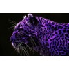 Purple Leopard - Animales - 
