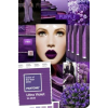 Purple - Items - 