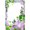 PurpleflowerFrame - Uncategorized - 